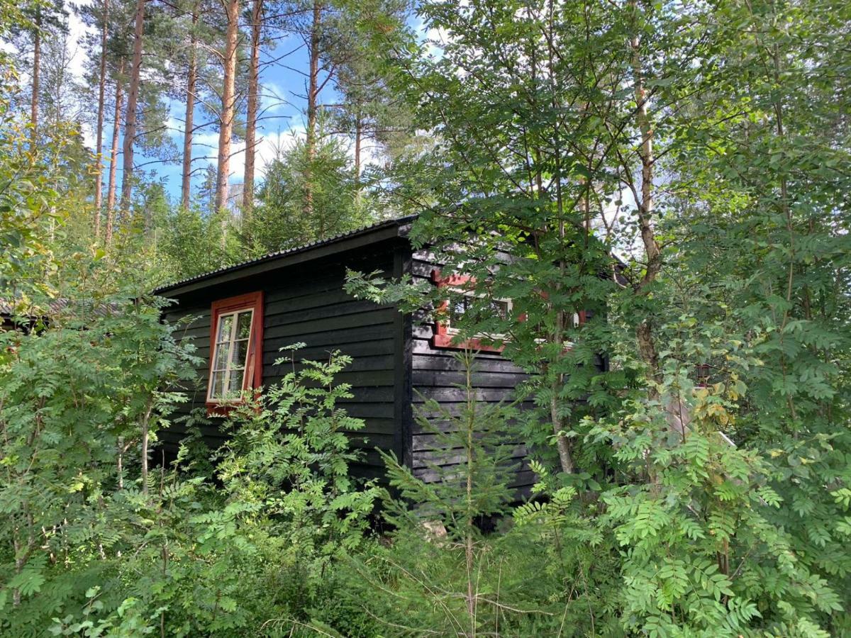 Fossumsanden Camping Og Hytter Fyresdal Экстерьер фото