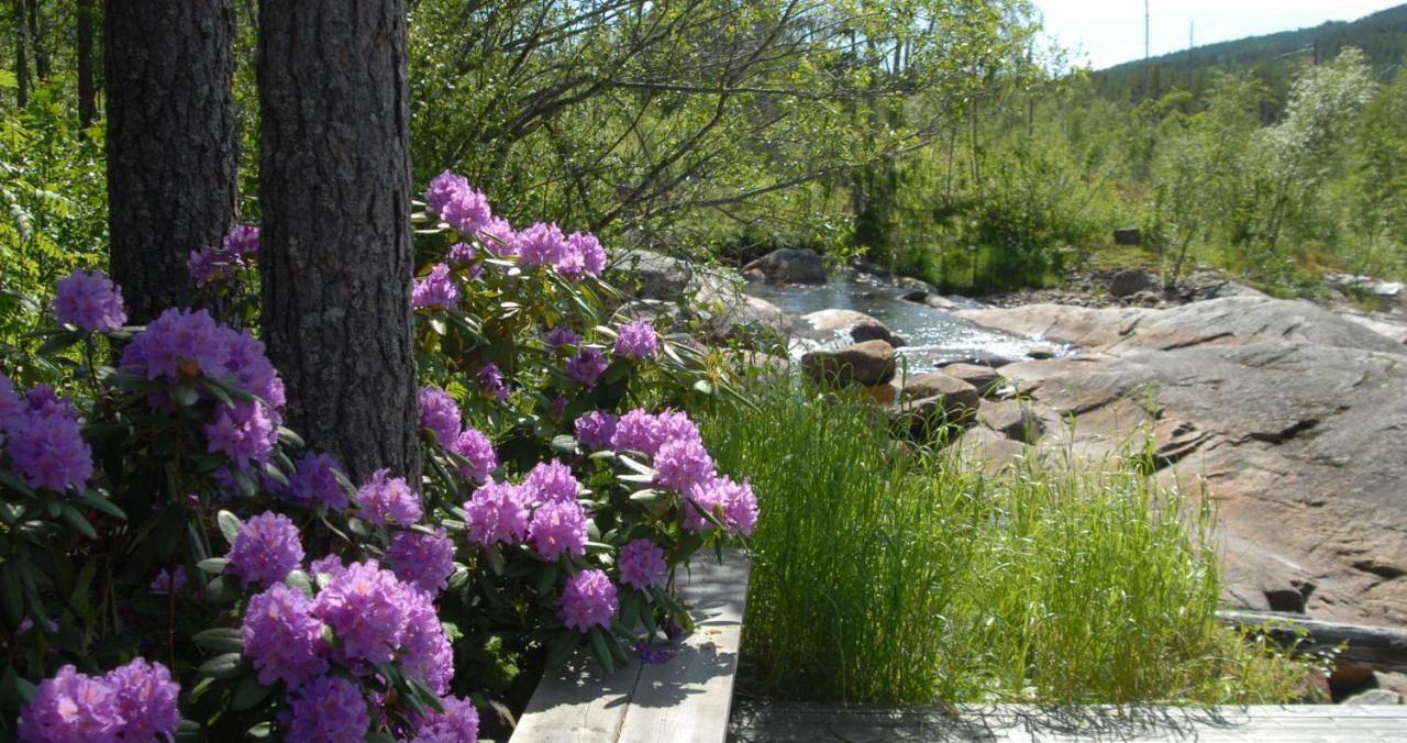 Fossumsanden Camping Og Hytter Fyresdal Экстерьер фото